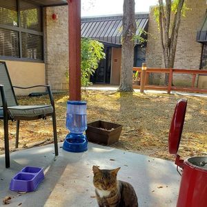 Meet your Posher, Carrie